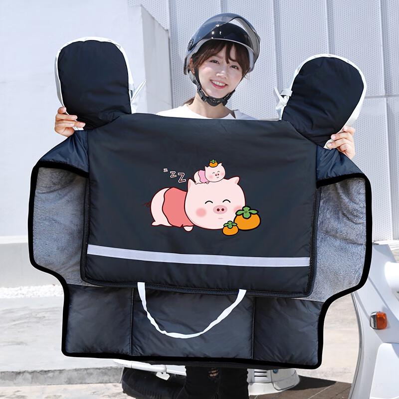 DUTRIEUX Electric Scooter Winter Wind Shield Quilt