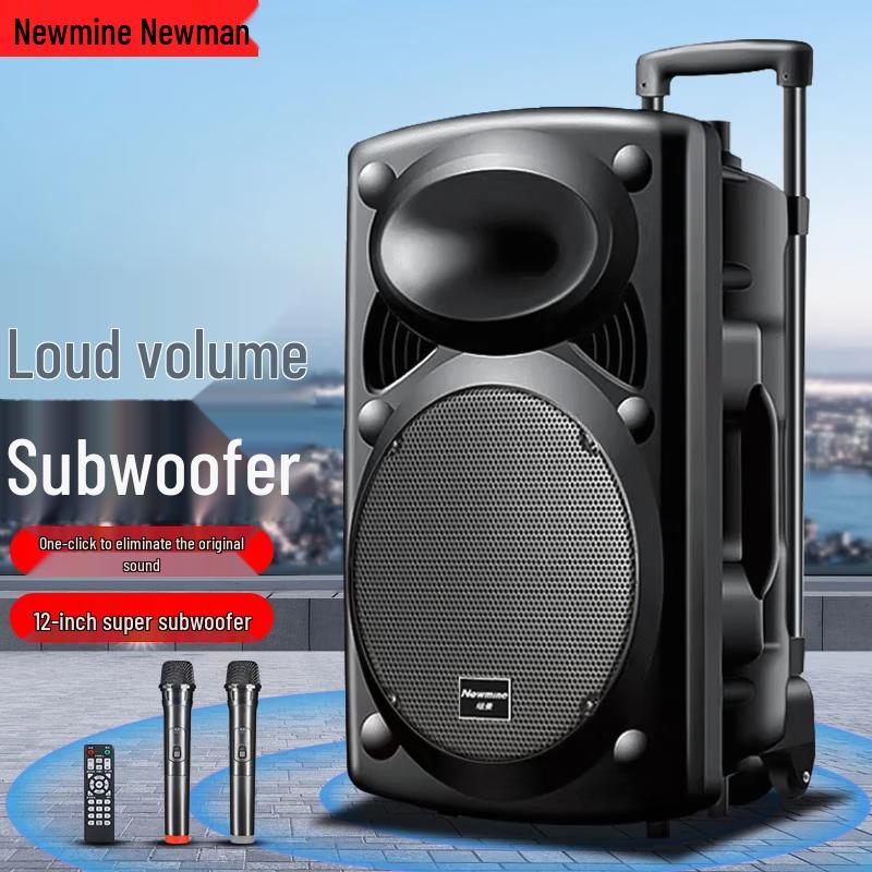 Newmine Portable Outdoor KTV Bluetooth Speaker
