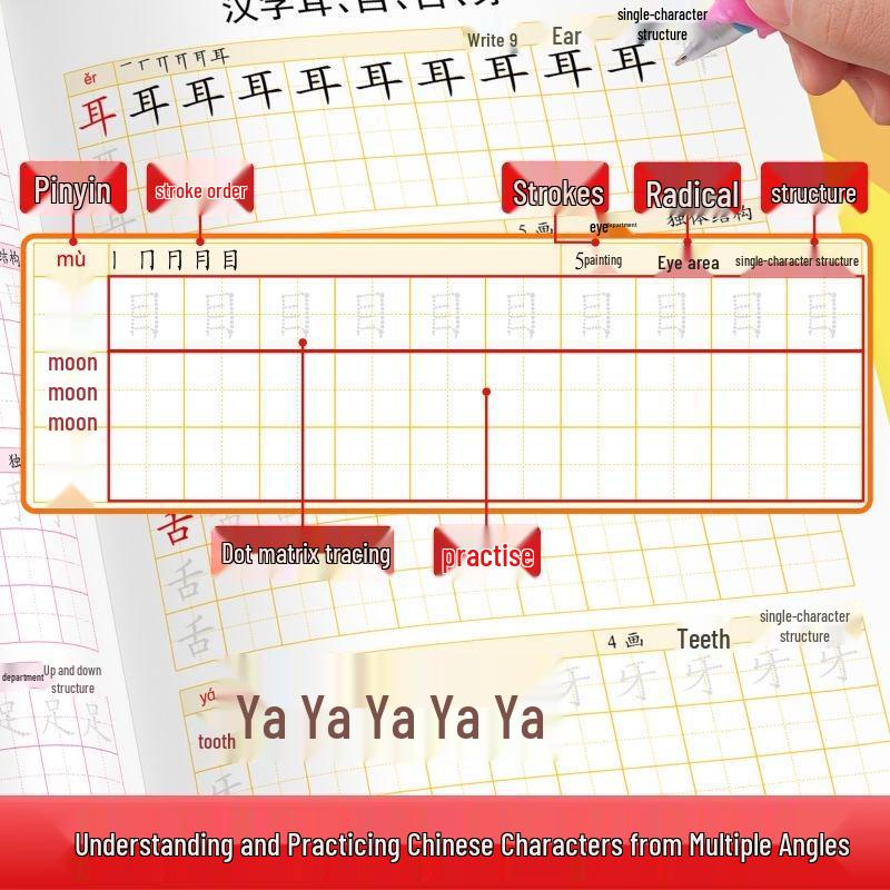 Transition Workbook: Early Childhood to Primary School Chinese Math & Phonics Practice