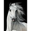 New 5D DIY Diamond Painting Dark Horse Diamond Embroidery Animal Cross Stitch Full Square Round Drill Home Decor Manual Art Gift