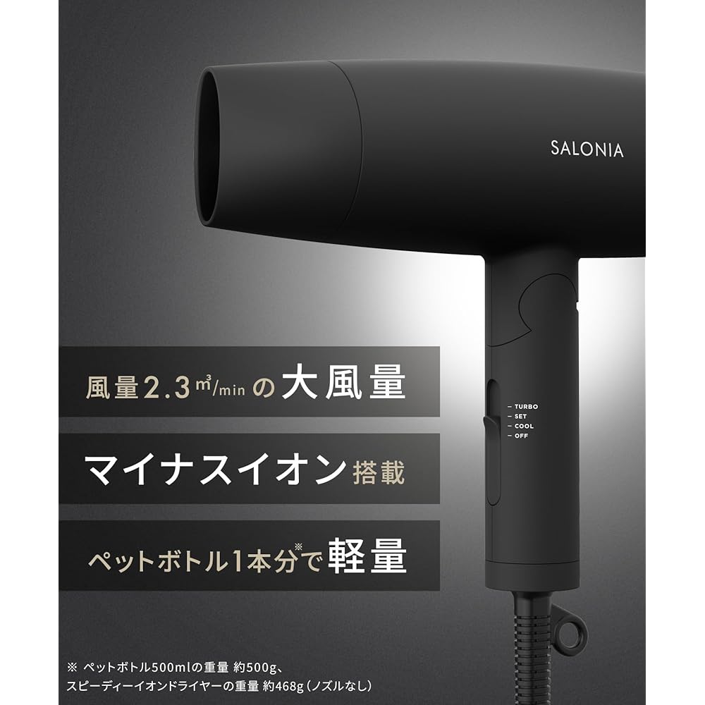 Salonia Speedy Ion Hair Dryer High Airflow Fast Drying Lightweight Negative Ion SL-013AGR Gray