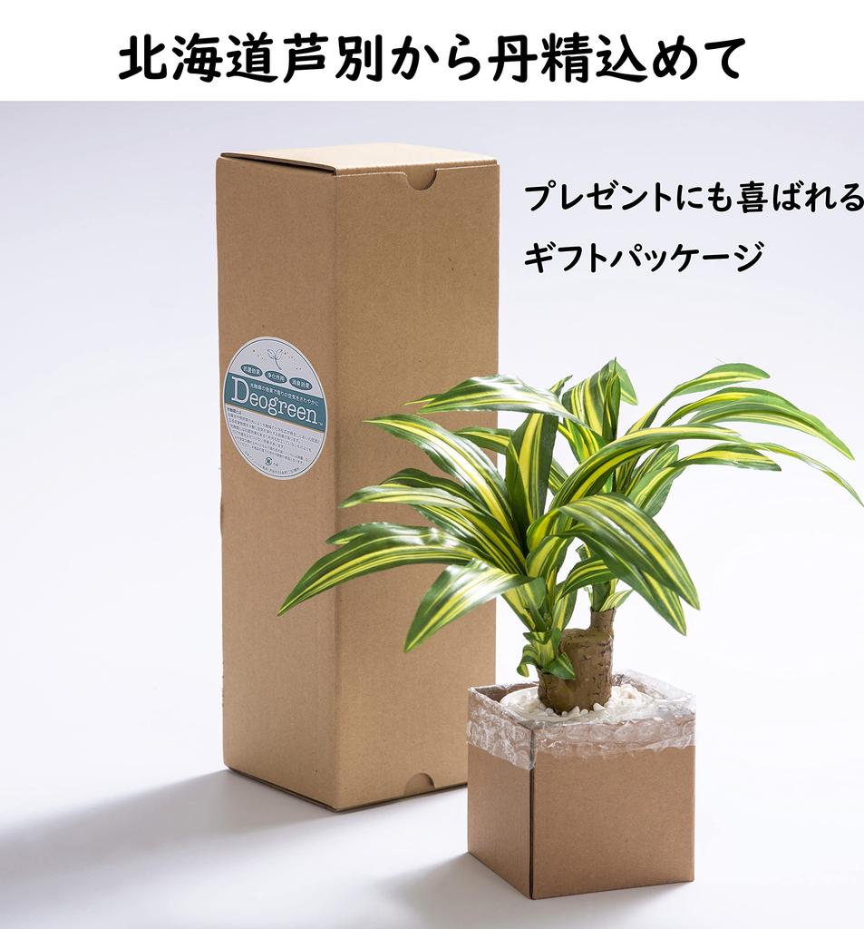 Nippon Insole Industry Interior Green Ornamental Plant Fake Mini Artificial Flower White with Pot Photocatalyst Deodorizing Disinfecting Made in