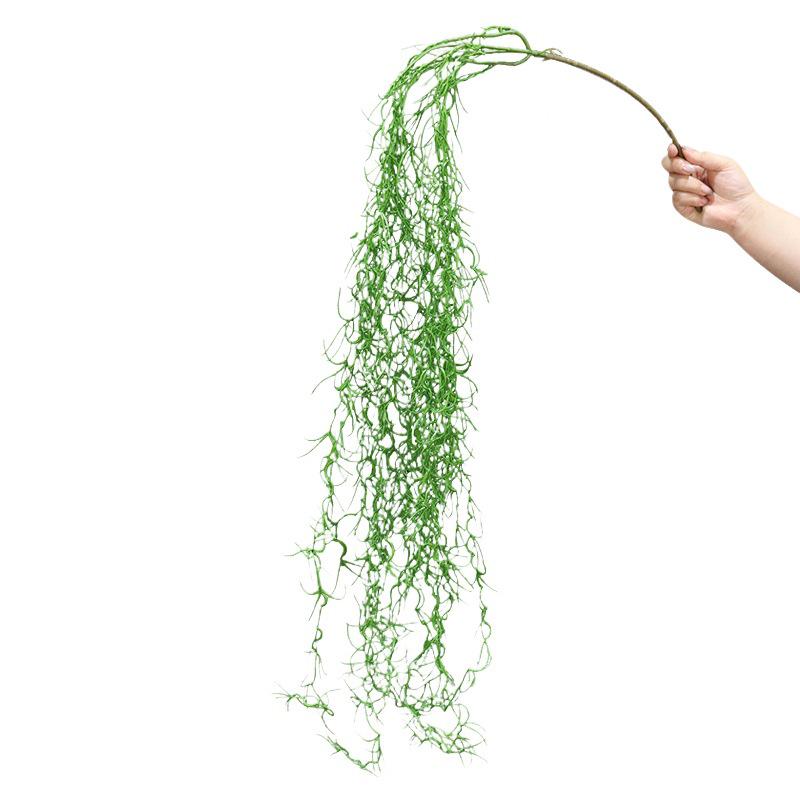 Asparagus Fern & Willow Buds Greenery for Wedding Decor & Landscaping