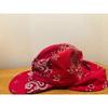 Used NEXUSVII MADMAXX Nexus Seven Vintage Paisley Bandana Cap