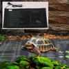 230V 20W Crawling Pet Winter Heating Mat Constant Temperature Turtle Snake Lizard Winter Heat Pad Fish Tank Keep Warming Pad 1Pc