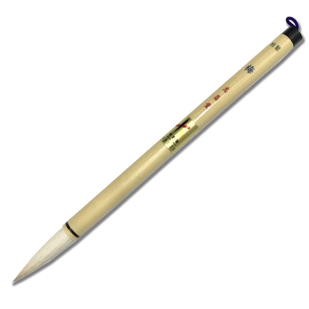 

Shishodo Bespoke Plum Thick Brush White Hair