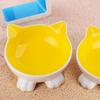 Slanted Mouth Dog Food Feeding Basin Non-slip Pet Drinking Feeder  Neck Protection