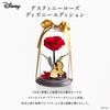 Amorosa Moderno Preserved Flower Destiny Rose Disney Edition and the Bright Red Rose Gift Flower Birthday Women Wedding Anniversary Proposal