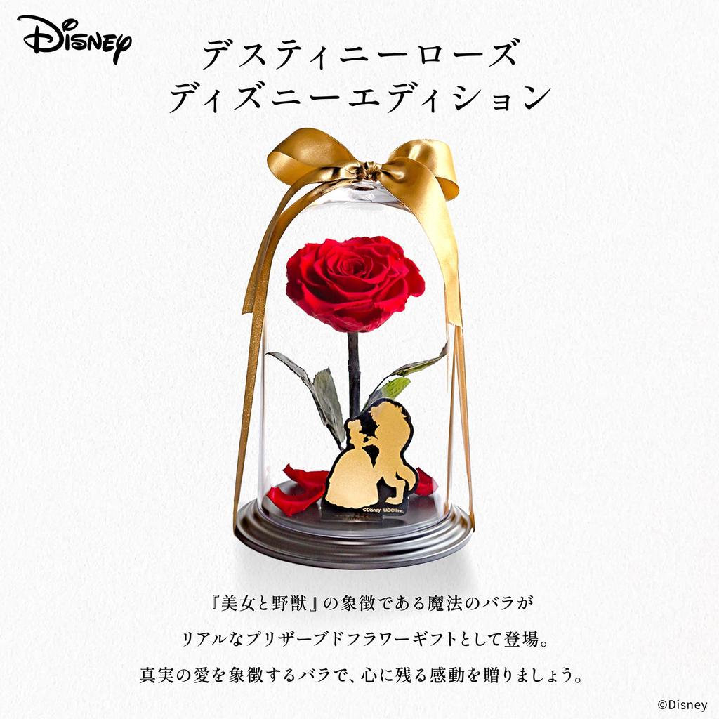Amorosa Moderno Preserved Flower Destiny Rose Disney Edition and the Bright Red Rose Gift Flower Birthday Women Wedding Anniversary Proposal