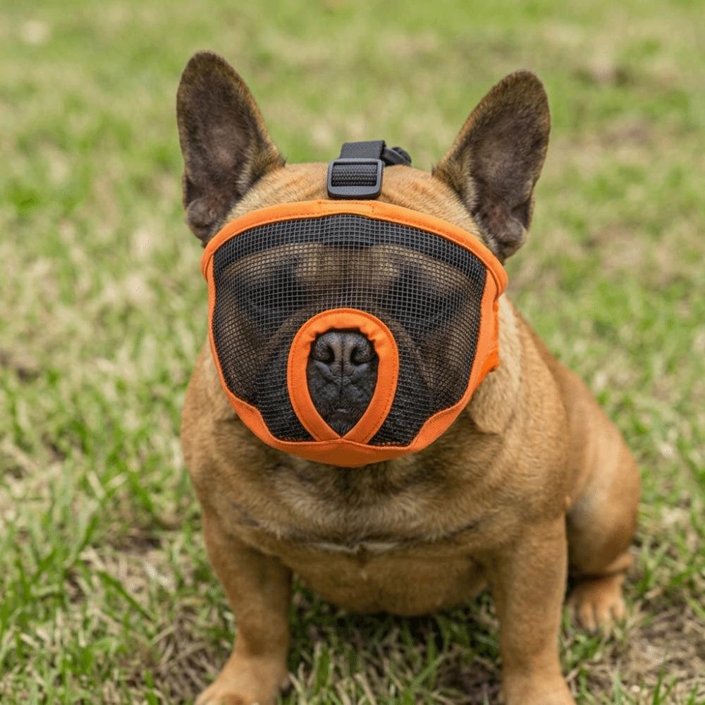 Soft Short Snout Muzzle Breathable Short Snout Dog Muzzle Snug Fit Flat Face Muzzle  Lick Stop