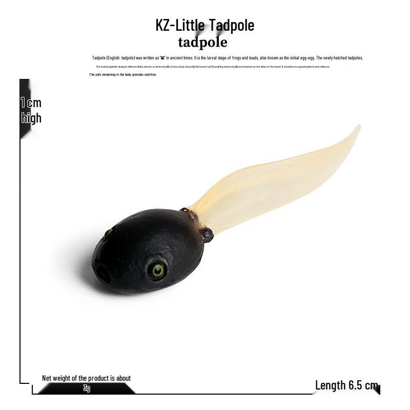 Realistic Frog Tadpole Growth Cycle Model: Educational Teaching Aid for Kids