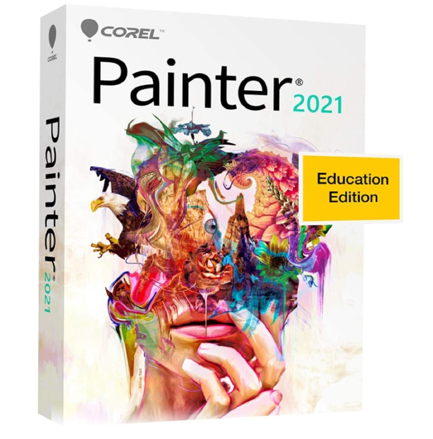 

Corel Painter 2021 Освітня версія Окремий японський посібник Японська інструкція в комплекті [продукт] &