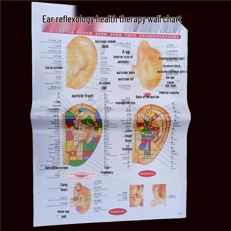 

Подробная схема акупунктурных точек: Схемы тела человека, уха, стопы, подошвы и ладони для массажной терапии и туйна