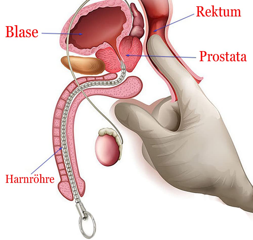 Edelstahl Harnröhrenkugeln Sounding Massagegerät Insert Katheter Penis Plug Harnröhren Dilatator Männlicher Schwuler Stimulator Sexspielzeug für Männer