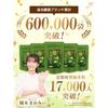 [Onkatsu Nouen] Yamecha Matcha Miyabi Domestic Powder 30g