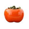 Ceramic Persimmon Tea Caddy - Large/Medium Sealed Jar for Tea or Candy Storage