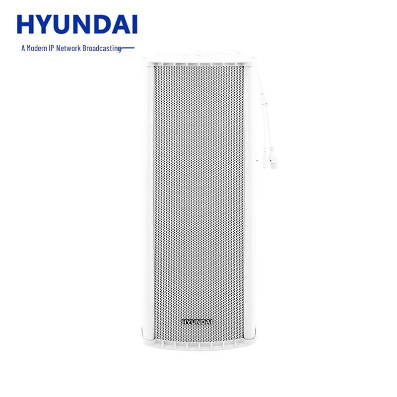 Hyundai IP Network Broadcasting Audio Systems CN plug (adapter included)