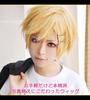 CaseEden Cosplay Heat Light WIG4860 Wig, Short, 30cm, Resistant, Gold, Blonde, Gold,