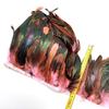5-10Meter Natural Chicken Rooster Tail Feathers Trims Fringe Plumas Wedding Party Dress Decoration Needlework Accessories13-18cm