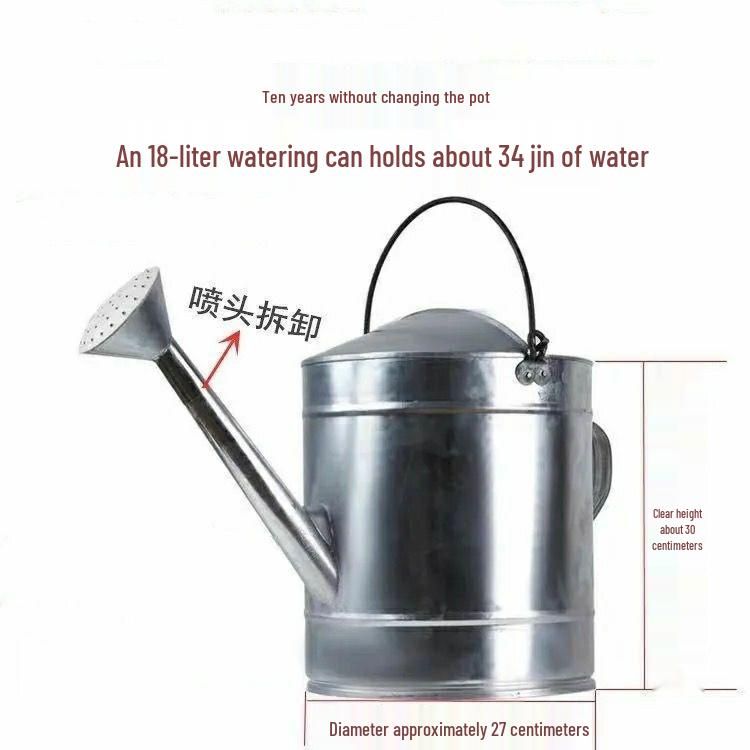 Stainless Steel Large Capacity Watering Can with Movable Handle and Sprayer