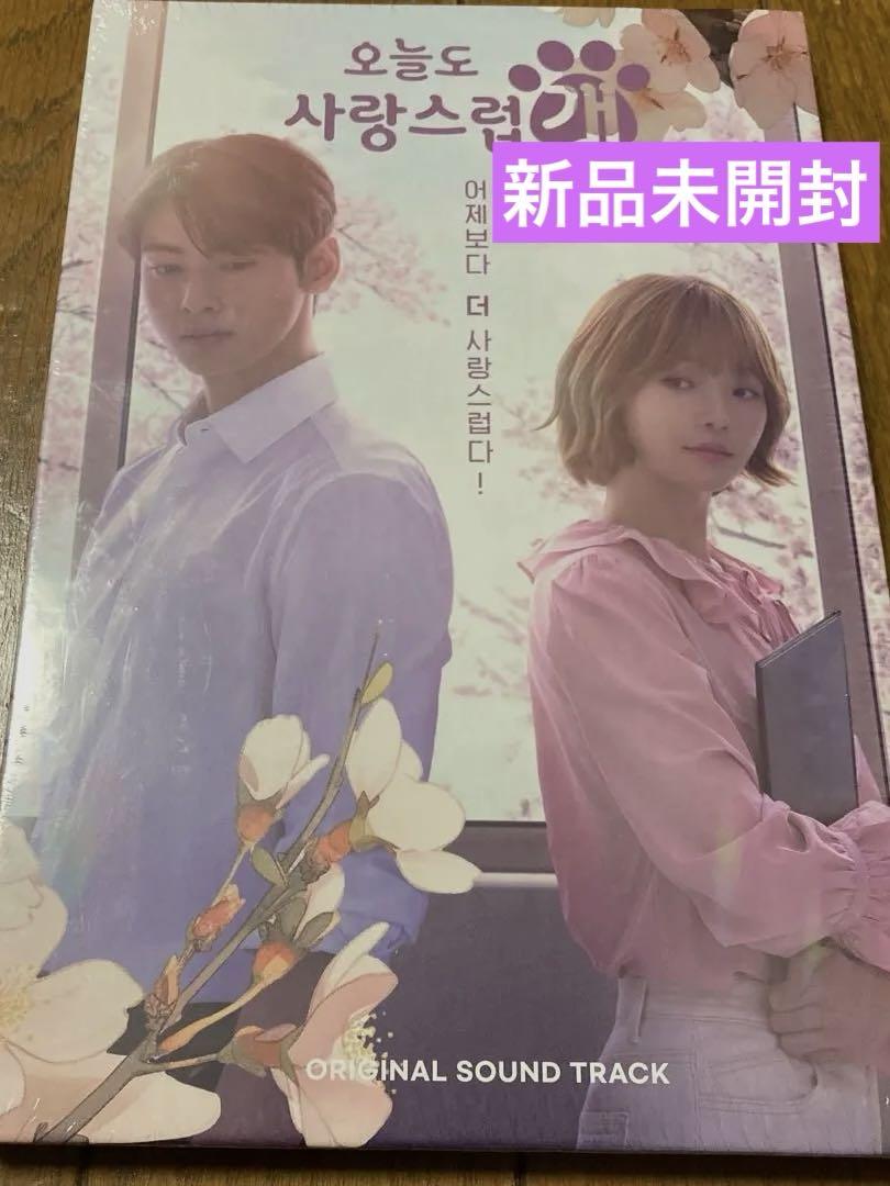 

[USED] Korean Drama Wonderful Days OST