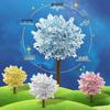 DIY Crystal Growing Magic Tree: Educational Toy for Primary Students