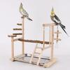 Pet Bird Cage Funfair Stand Swing Parrots Swing Gym Toy Funfair Training