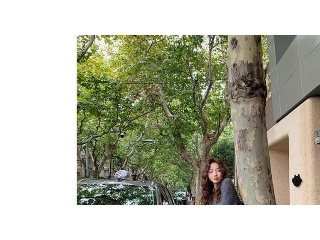 Women's Gray V-Neck Mohair Sweater - Cozy Autumn/Winter Knit Pullover