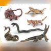 Realistic Pvc Amphibian And Reptile Model Pack For Display And Educational Use
