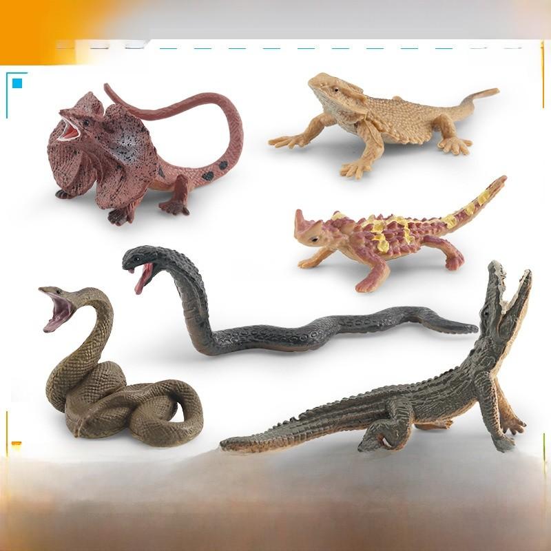 Realistic Pvc Amphibian And Reptile Model Pack For Display And Educational Use