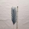 10/20pcs Simulated Reed Feather Pampas Grass Home Porch Wedding Party Garden Decoration Flower Vase DIY Accessories False Plant