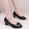 Spring and Summer New Mother Fashion Single Shoes Women's Square Buckle Light Mouth Thick Heel Medium Women's Middle Heel Women's Shoes Pointed Head