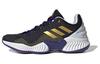 Pro Bounce 2018 Schwarz Weiß Gold IG4493