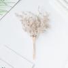 6Pcs Artificial Plants Golden Silvery Fake Branch For Christmas Tree Accessory Home Wedding Arch Decoration Candy Box Scrapbook