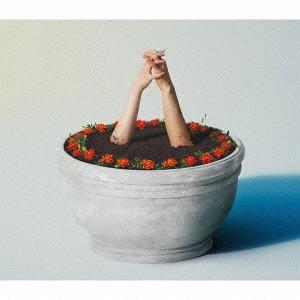 

CD AIMYON - Marigold WPCL12910 UNBORDE 2018 Japan ObiJapanese Pop/Rock Used