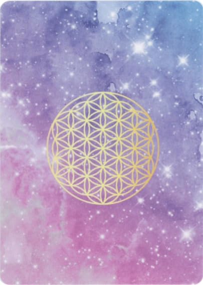 Magical Cat Cards Cat Healing Founder Kokoha 16 Cards with Japanese Explanation Sheet [Genuine]
