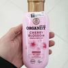 Elastine Organist Cherry Blossom Moisture Nutrition Shampoo 200ml