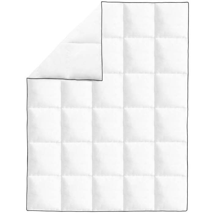 VidaXL Couette en duvet d'hiver 2 pcs 150 x 200 cm 132888