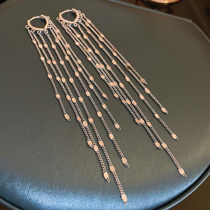 European and American Personalized Metal Fringed Earrings Niche Simple Long Stud Earrings High-end Light Luxury Earrings Women