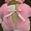 [USED] Muffy North American Bear Teddy Bear Rabbit Plush Toy