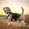 No Pull Dog Harness Reflective Waterproof Pet Harness Vest With Handle for Small Medium Dogs Walking Training Chest Straps