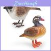 Lifelike Plastic Bird Figurines Including Duck Sparrow Finch And Tit Ideal For Indoor Decoration And Collectibles