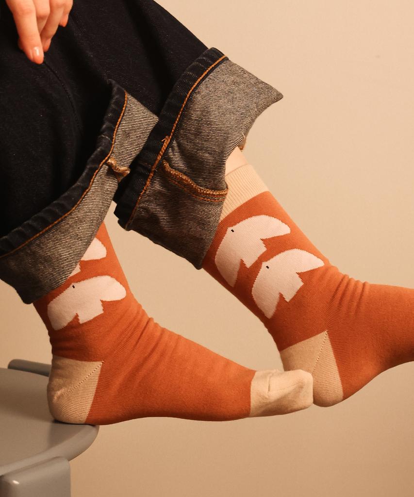 Ttunu Artist Matthias Larrain, Oiseaux Socks