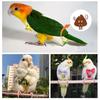 Parrot Pigeon Diaper Flight Suit Bird Nappy Parrot Clothes for Green Cheek Parakeet Cockatiel Conure Small Medium Birds