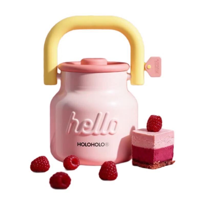 HOLOHOLO 700ml Insulated Straw Tumbler