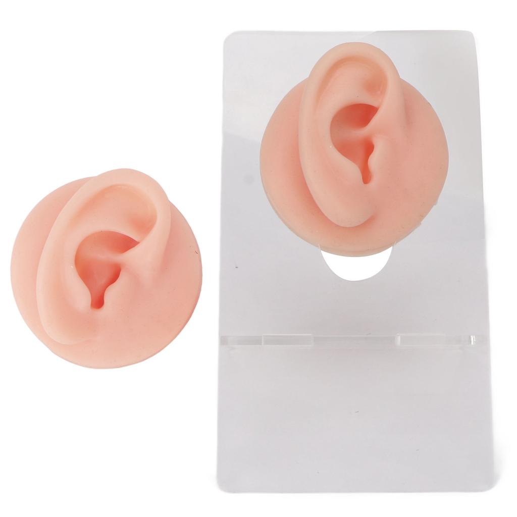 Ear Model Soft Silicone High Simulation Clear Structure Human Ear Model for Piercing Practice