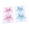 120 Sheets Gender Reveal Stickers Team Girl and Boy Stickers Gender Reveal Labels for Gender Reveal Party