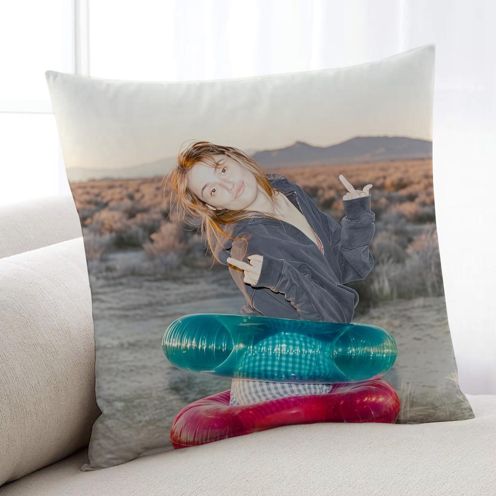 

DDev Lemons 2026 Singer cushion cover Home Bedding Sofa living Room pillowcase Simple Soft Skin Cushion Cover Party Gift 30x30 cm