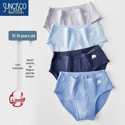 SUNCISCO Katoenen Slips voor Tienerjongens 4-pack