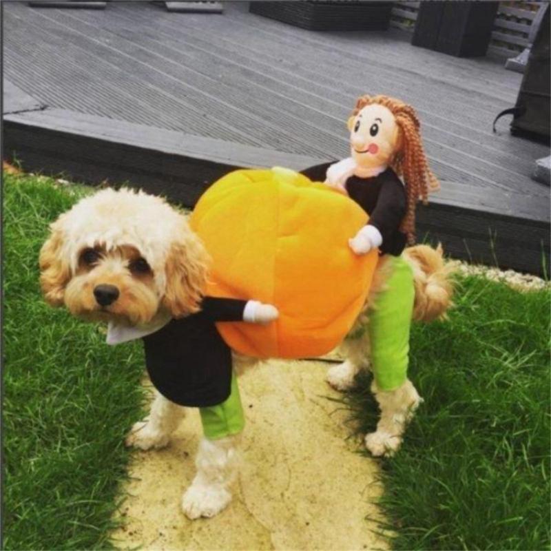 Funny Dolls Pumpkin Costume for Dogs Pet Halloween Holiday Accessories Photo Props Suitable Cats and Dogs